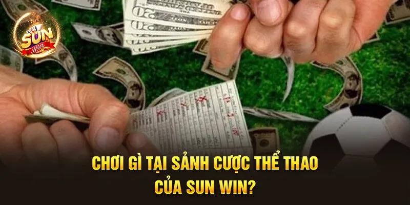 Chơi gì tại sảnh cược thể thao của Sun Win?